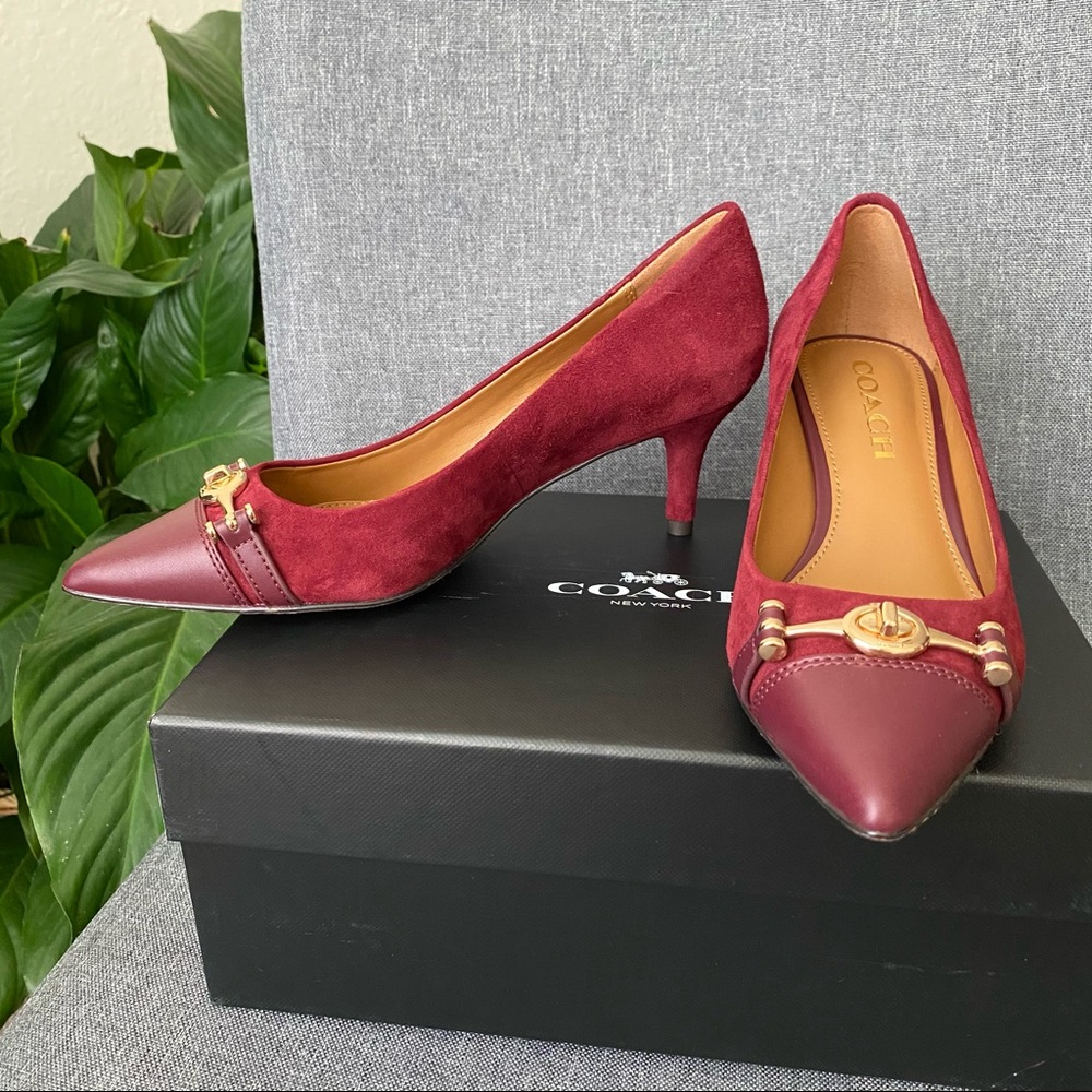 Coach lauri lux suede point toe burgundy pump